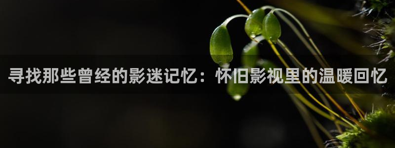 汤姆影院avt：寻找那些曾经的影迷记忆：怀旧影视里的温暖回忆
