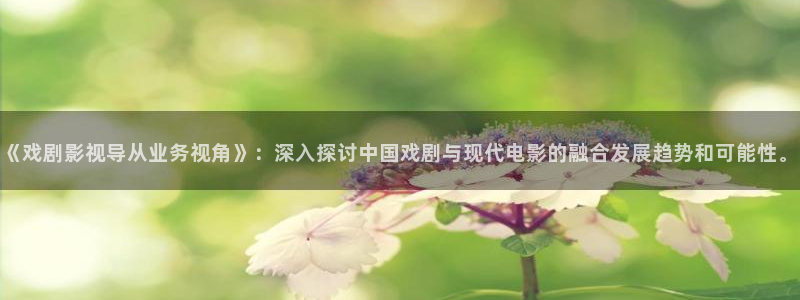 汤姆福利影院：《戏剧影视导从业务视角》：深入探讨中国戏剧与现代电影的融合发展趋势和可能性。