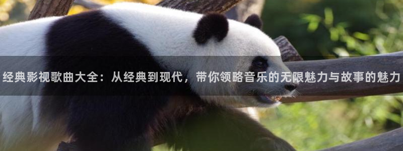 汤姆影院最新网址：经典影视歌曲大全：从经典到现代，带你领略音乐的无限魅力与故事的魅力