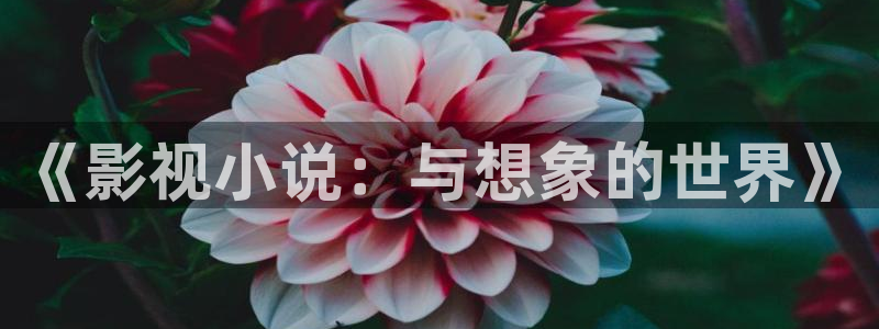 汤姆影院视频在线观看：《影视小说：与想象的世界》