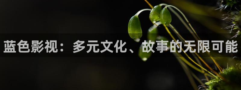 汤姆影视：蓝色影视：多元文化、故事的无限可能