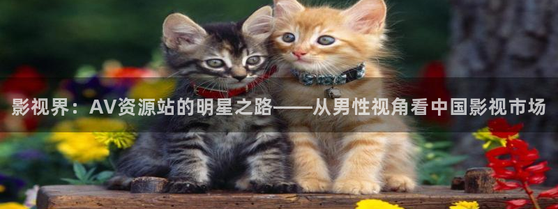 汤姆影院avtom在线播放：影视界：AV资源站的明星之路——从男性视角看中国影视市场
