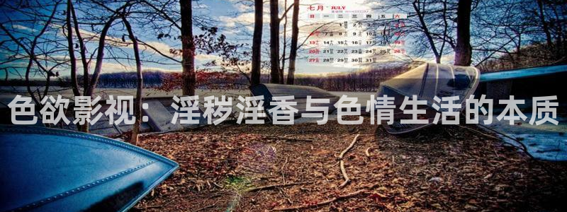 汤姆影院地址：色欲影视：淫秽淫香与色情生活的本质