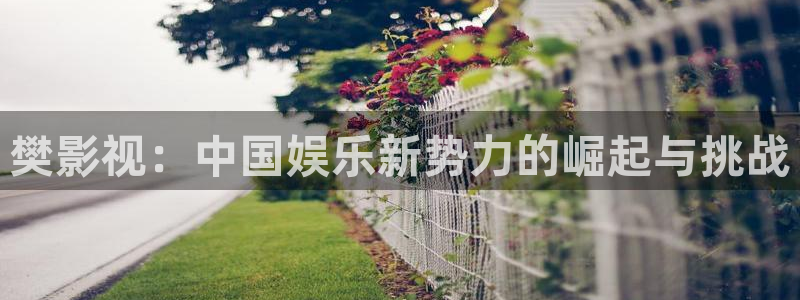 汤姆影视影院：樊影视：中国娱乐新势力的崛起与挑战