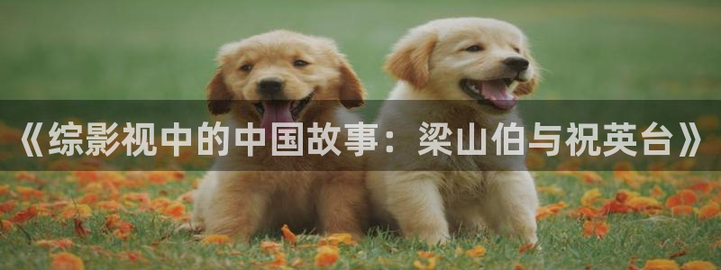 汤姆视频影院：《综影视中的中国故事：梁山伯与祝英台》