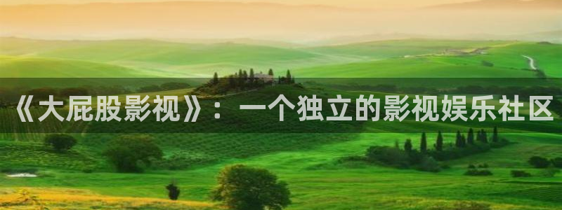 汤姆影院在线中转：《大屁股影视》：一个独立的影视娱乐社区