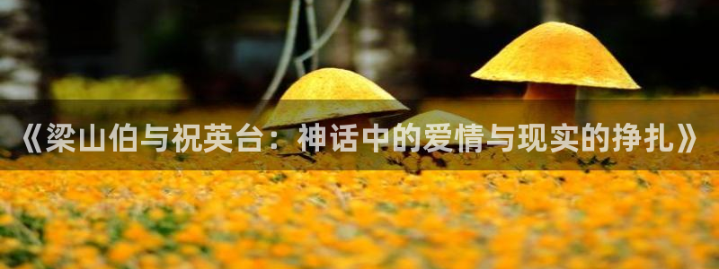 汤姆影院tmo：《梁山伯与祝英台：神话中的爱情与现实的挣扎》