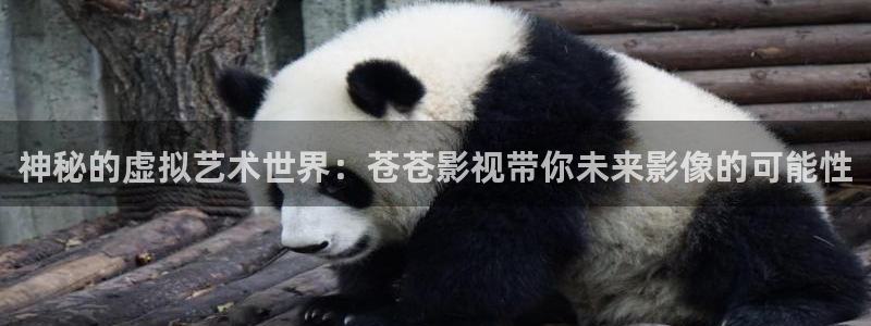 汤姆的私人电影院：神秘的虚拟艺术世界：苍苍影视带你未来影像的可能性