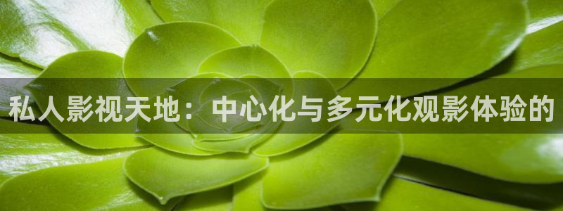 汤姆影院新路口：私人影视天地：中心化与多元化观影体验的