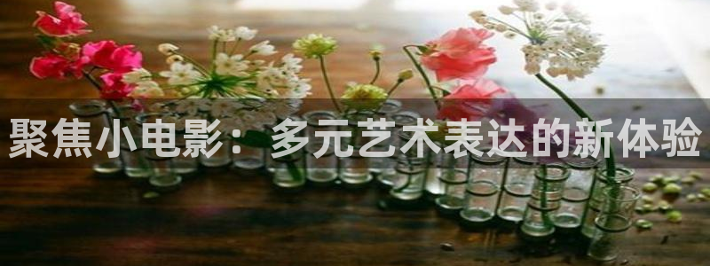 汤姆影院热门电影有哪些：聚焦小电影：多元艺术表达的新体验