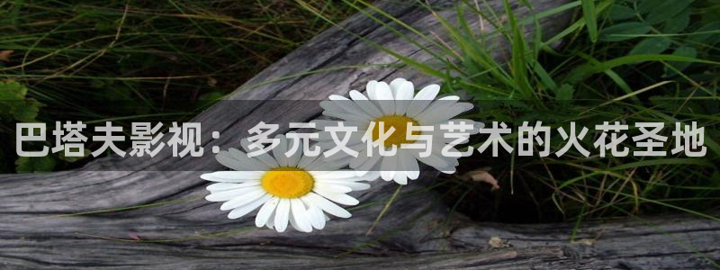 汤姆高清影院：巴塔夫影视：多元文化与艺术的火花圣地