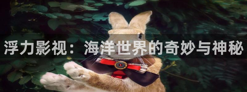 汤姆影院avt0m：浮力影视：海洋世界的奇妙与神秘