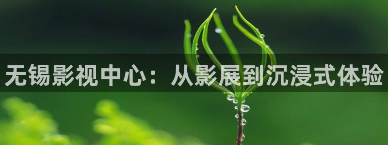 汤姆影院在线看电视剧免费：无锡影视中心：从影展到沉浸式体验
