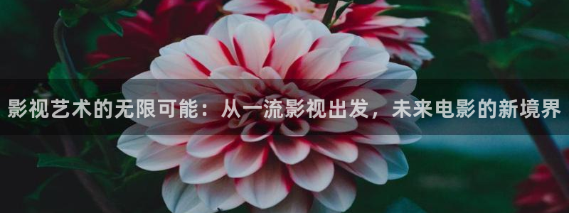 汤姆影视.：影视艺术的无限可能：从一流影视出发，未来电影的新境界