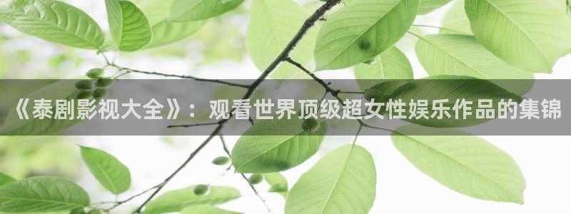 汤姆首页：《泰剧影视大全》：观看世界顶级超女性娱乐作品的集锦