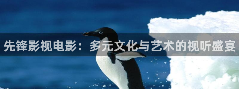 汤姆影院最新：先锋影视电影：多元文化与艺术的视听盛宴